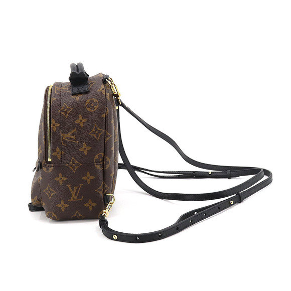 Louis Vuitton Monogram Palm Springs Backpack Mini Rucksack - Picture 3 of 8